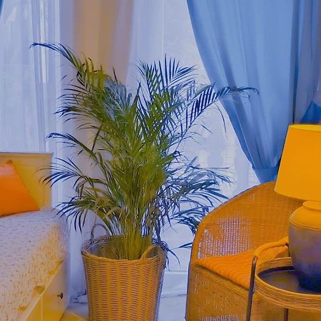 Apartament - Lisa 布德瓦 外观 照片