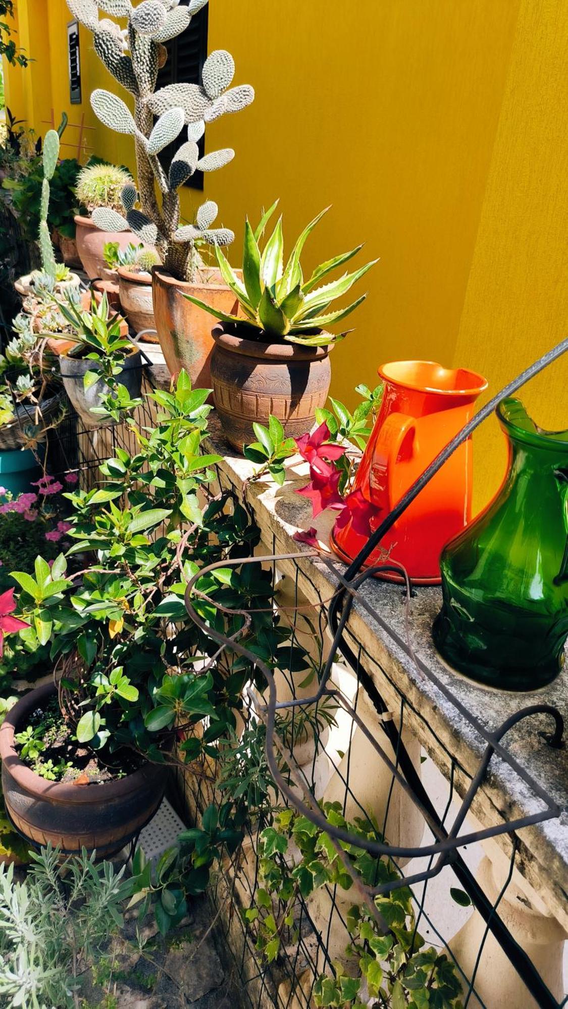 Apartament - Lisa 布德瓦 外观 照片