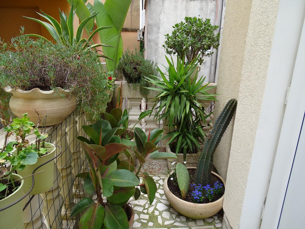 Apartament - Lisa 布德瓦 外观 照片